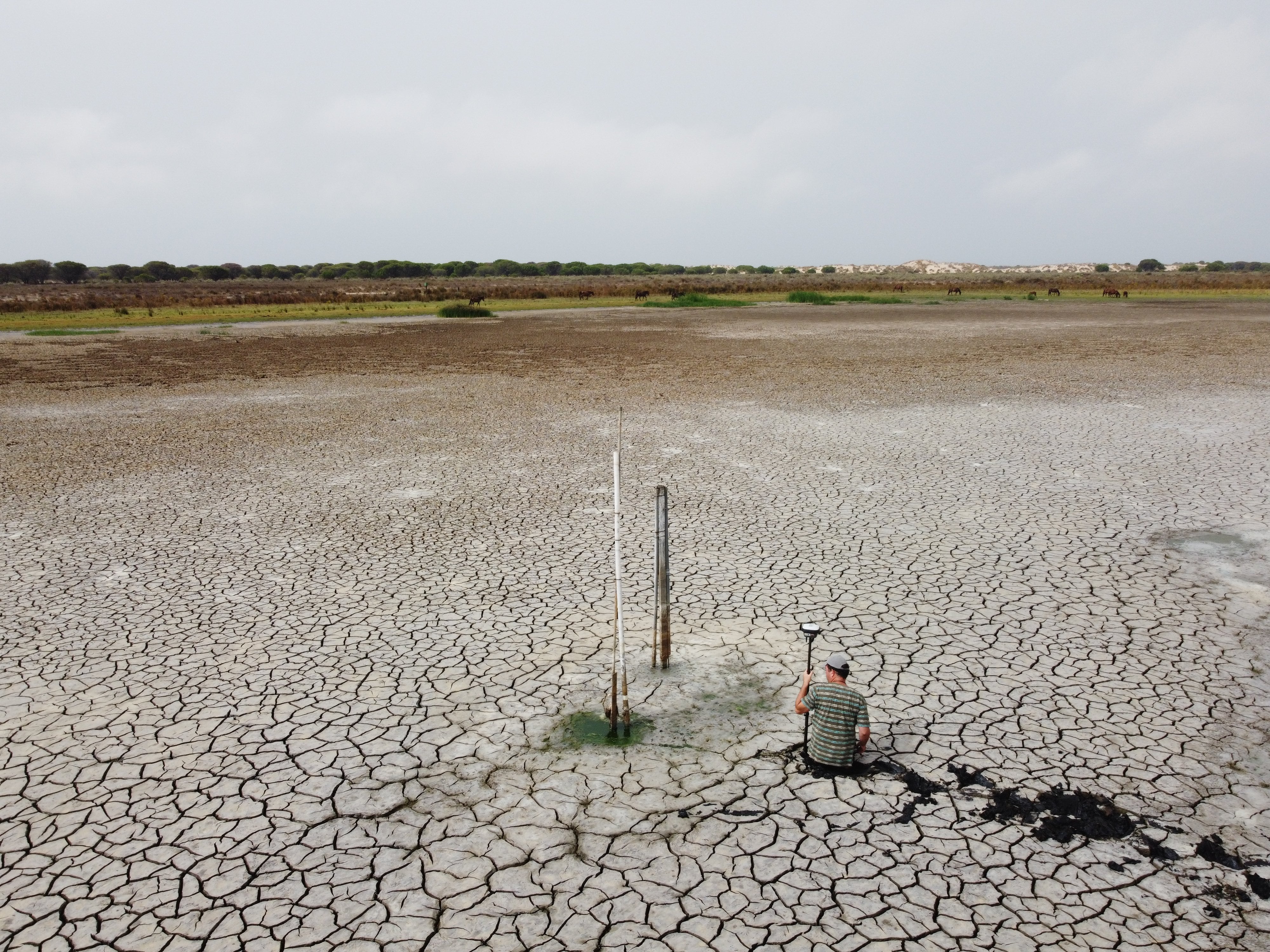 Laguna de Santa Olalla (Agosto 2023) Estación Biológica de Doñana