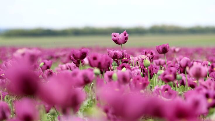Entrevista a Javier Arcenillas, profesor de la escuela PICA de Alcobendas, que comienzan nuevo curso