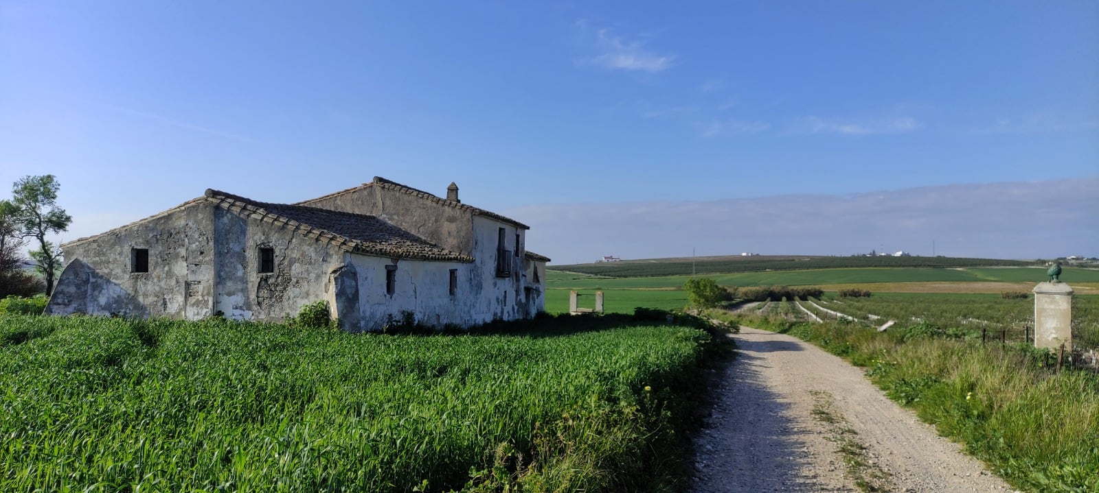 Recorrido por la viña Balbaína