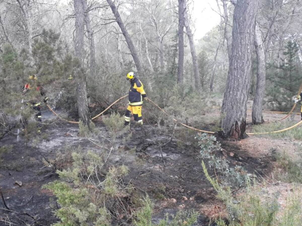 Empieza una campaña contraincendios "atípica" por el coronavirus