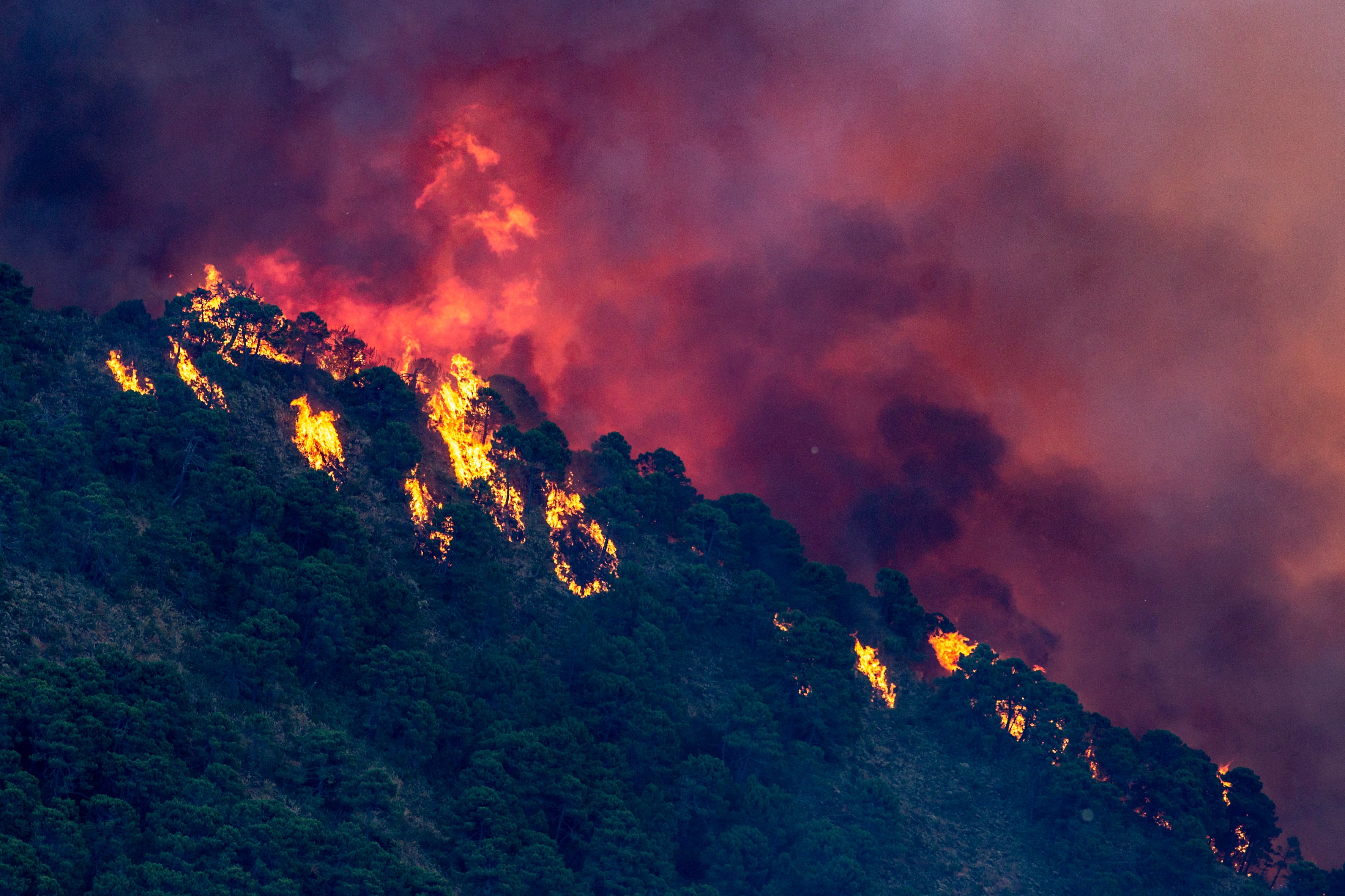 -FOTODELDÍA- GRAFAND083. PUJERRA (MÁLAGA), 09/06/2022.-Vista del incendio forestal de Pujerra (Málaga), declarado ayer miércoles en el Paraje de la Resinera y en el que trabajan un total de 946 efectivos del Plan Infoca en las labores de extinción, seguridad y coordinación. EFE/Daniel Pérez
