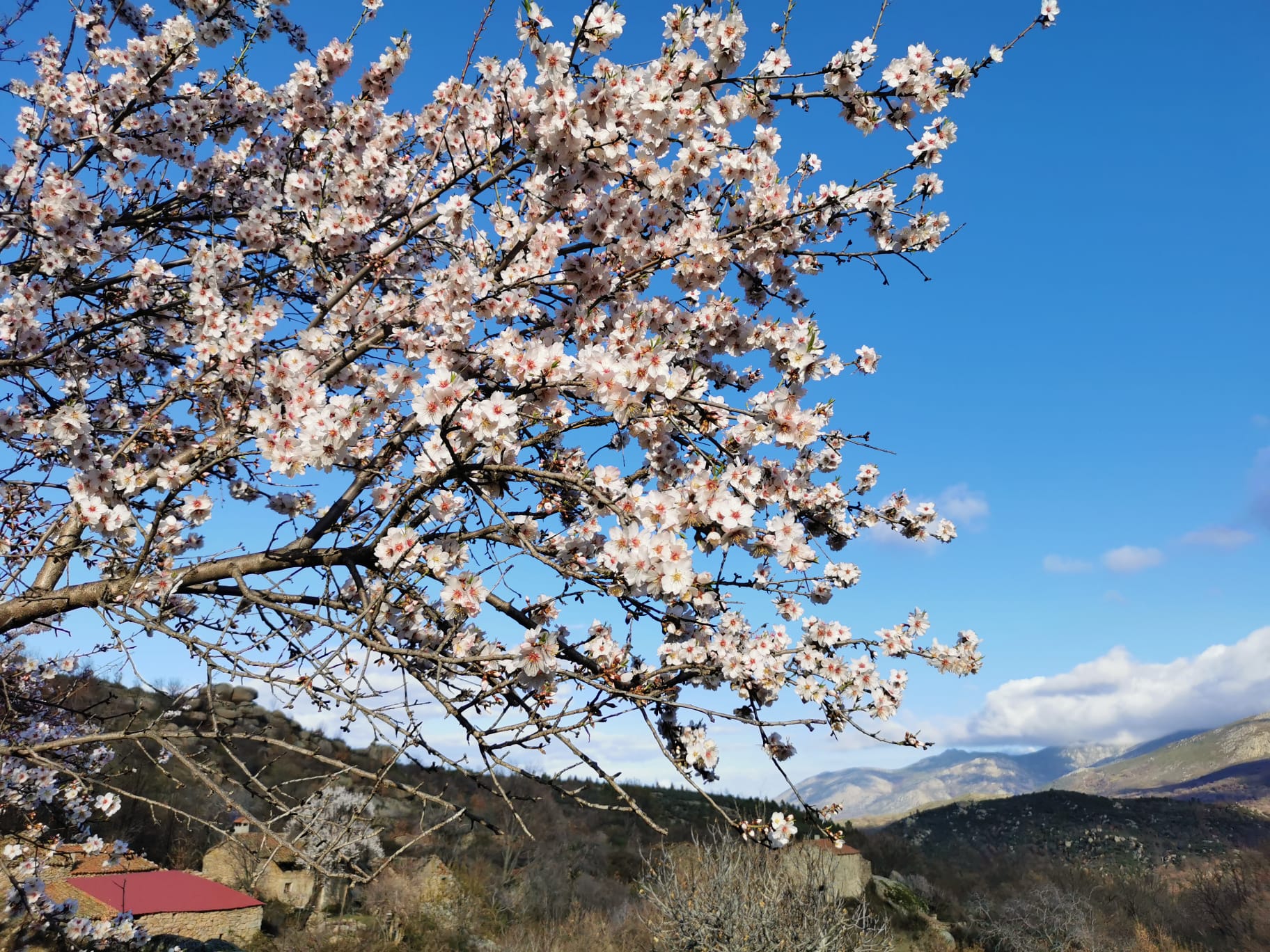 La primavera es un buen momento para recorrer los caminos que unían estos núcleos aislados