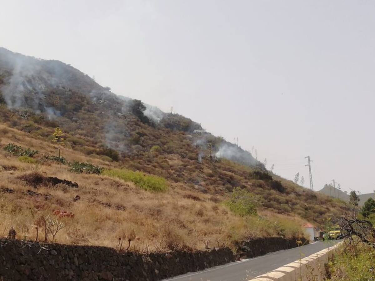 Estabilizados y controlados los dos conatos en Tenerife