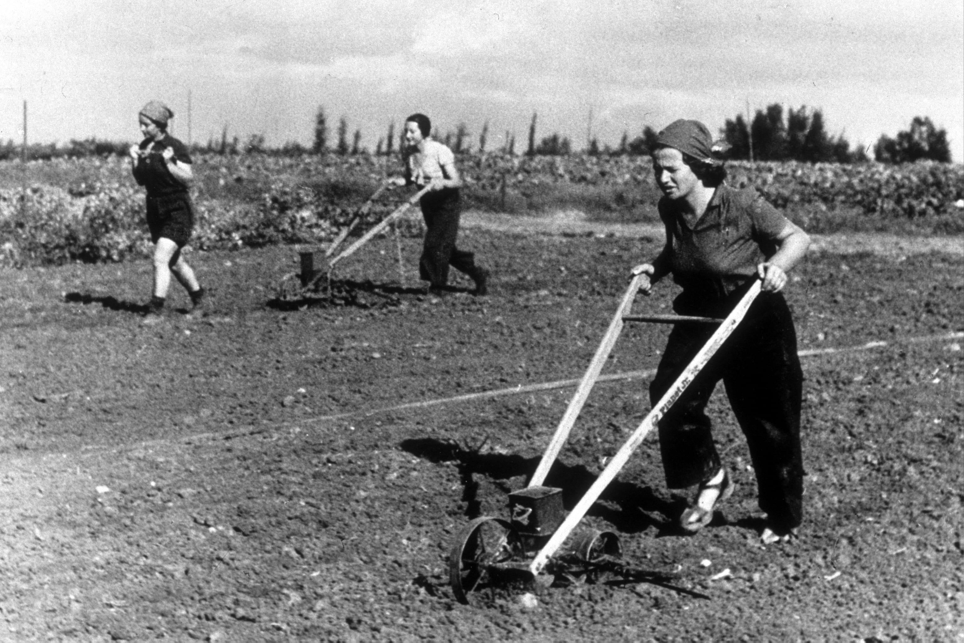 Mujeres trabajan el campo en un kibutz en Israel