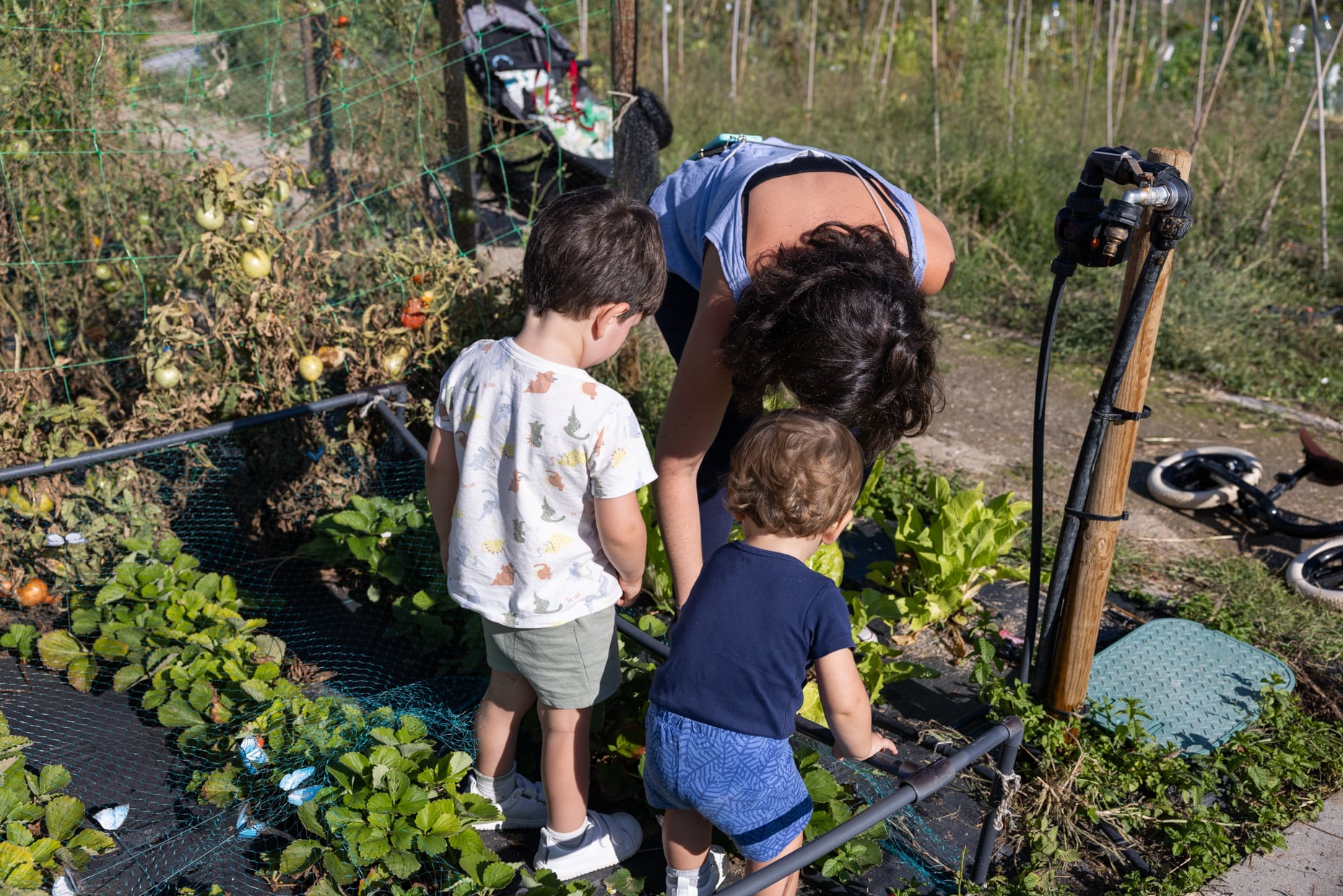 Las 53 nuevas parcelas, ubicadas en el Parque Sur, pueden solicitarse hasta el domingo 15 de octubre, debiendo presentar la solicitud en el Registro municipal