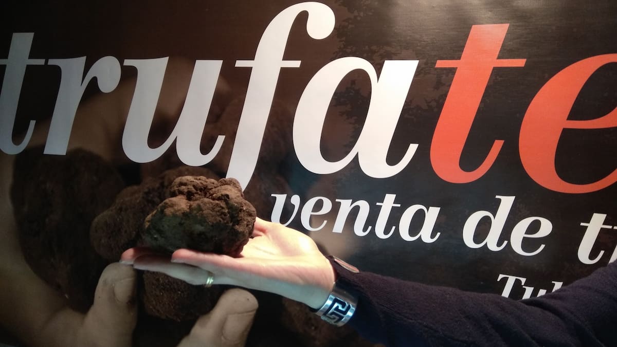 Notable alto para la temporada de trufa