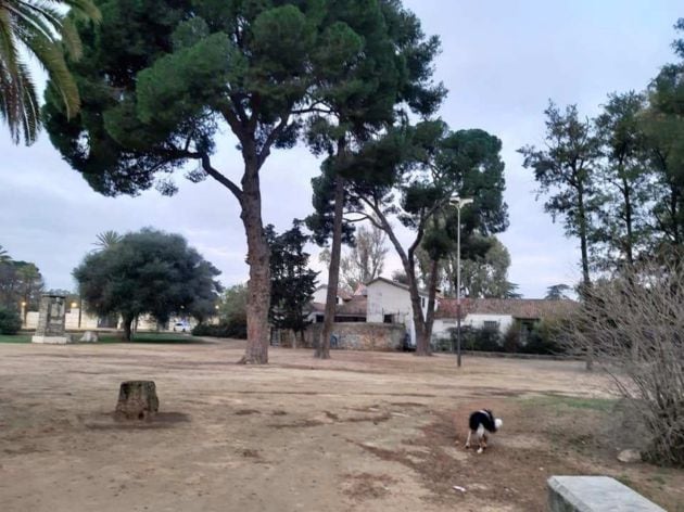 Trasera del restaurante, esta mañana con un vehículo de la Policía Local junto al eficio