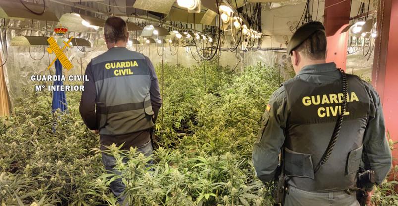 Parte de la droga incautado por la Guardia Civil