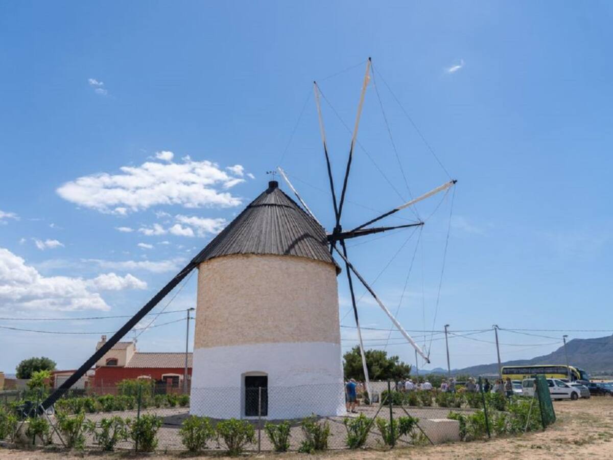 Los molinos de viento del Campo de Cartagena, unos gigantes amenazados