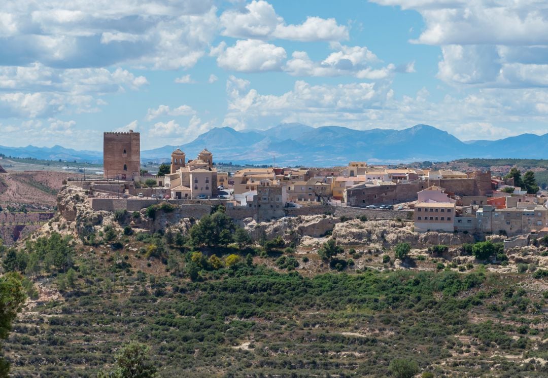 Vista de Aledo