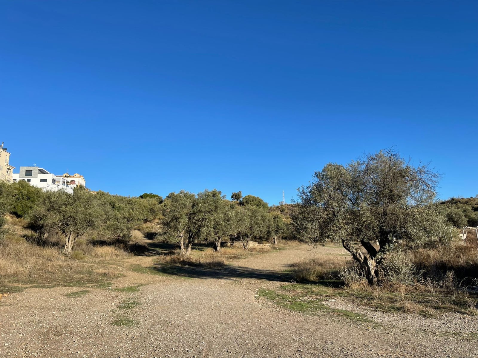 Terrenos que ocuparán el futuro parque periurbano de Rincón