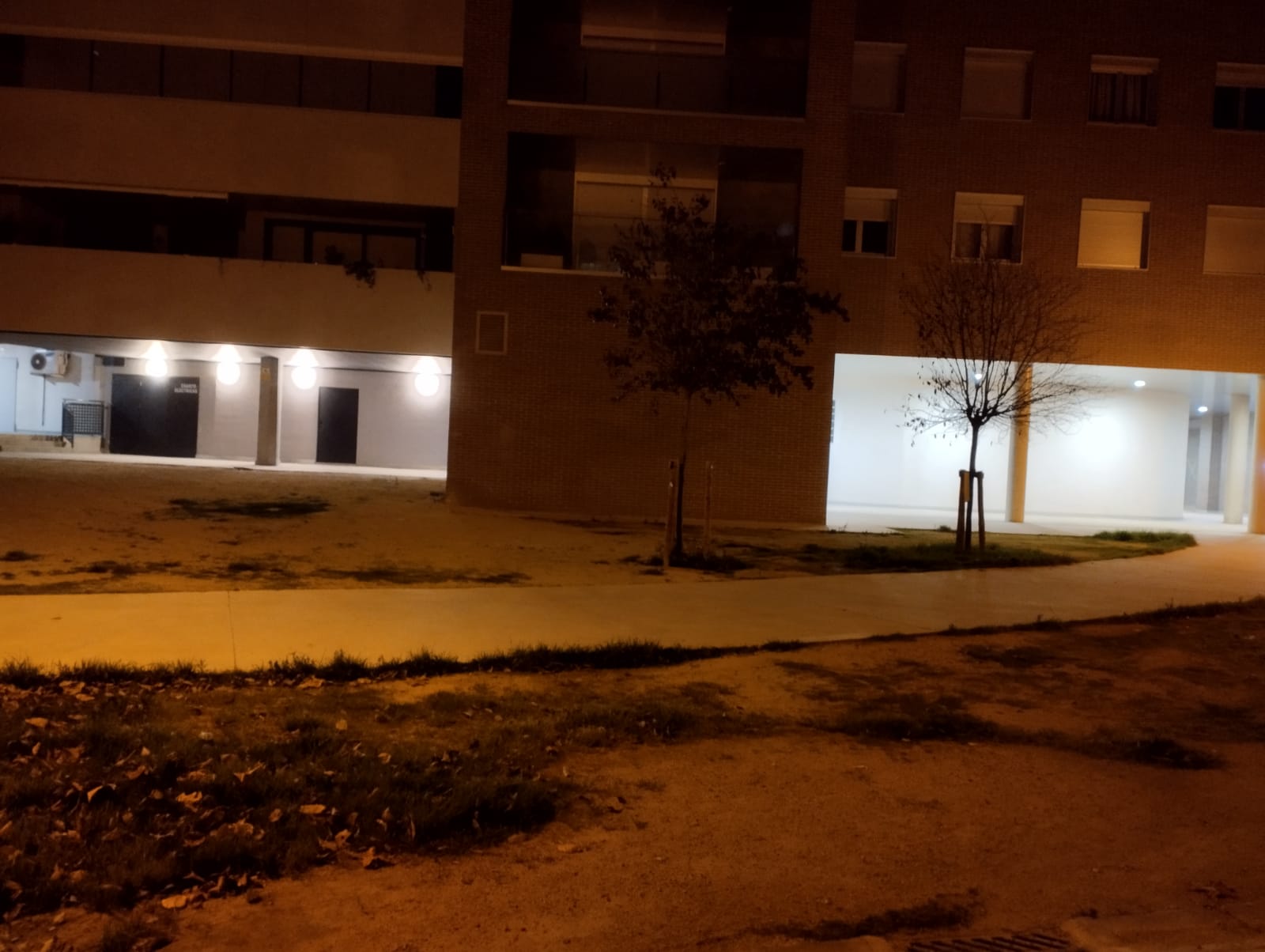 Falta de luz y jardines en mal estado en María Auxiliadora