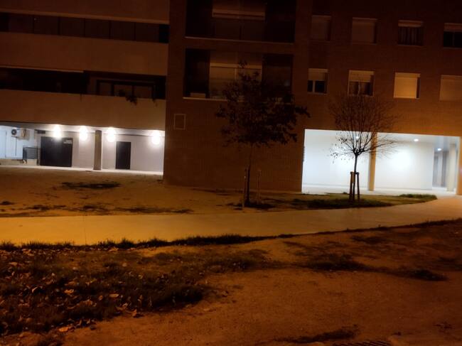 Falta de luz y jardines en mal estado en María Auxiliadora