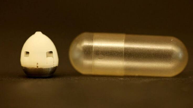 El Blog de la Ciencia, con Conchi Lillo