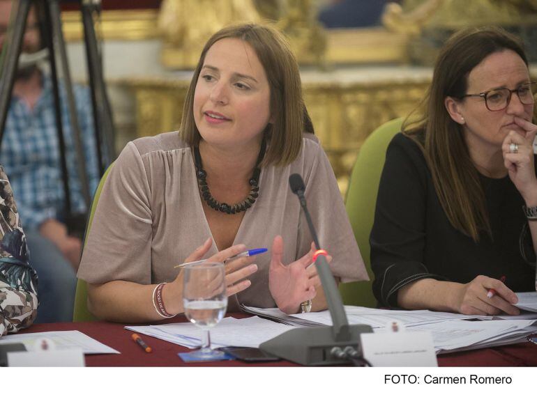 Ana Carrera, diputada provincial