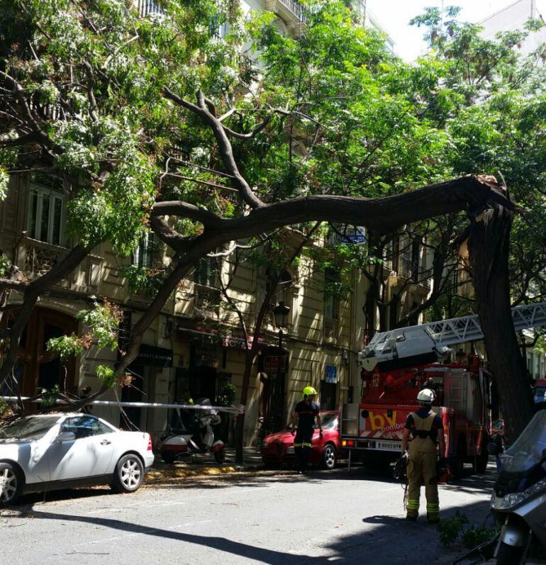 Los bomberos trabajan en la retirada del árbol caído en la calle Sorní