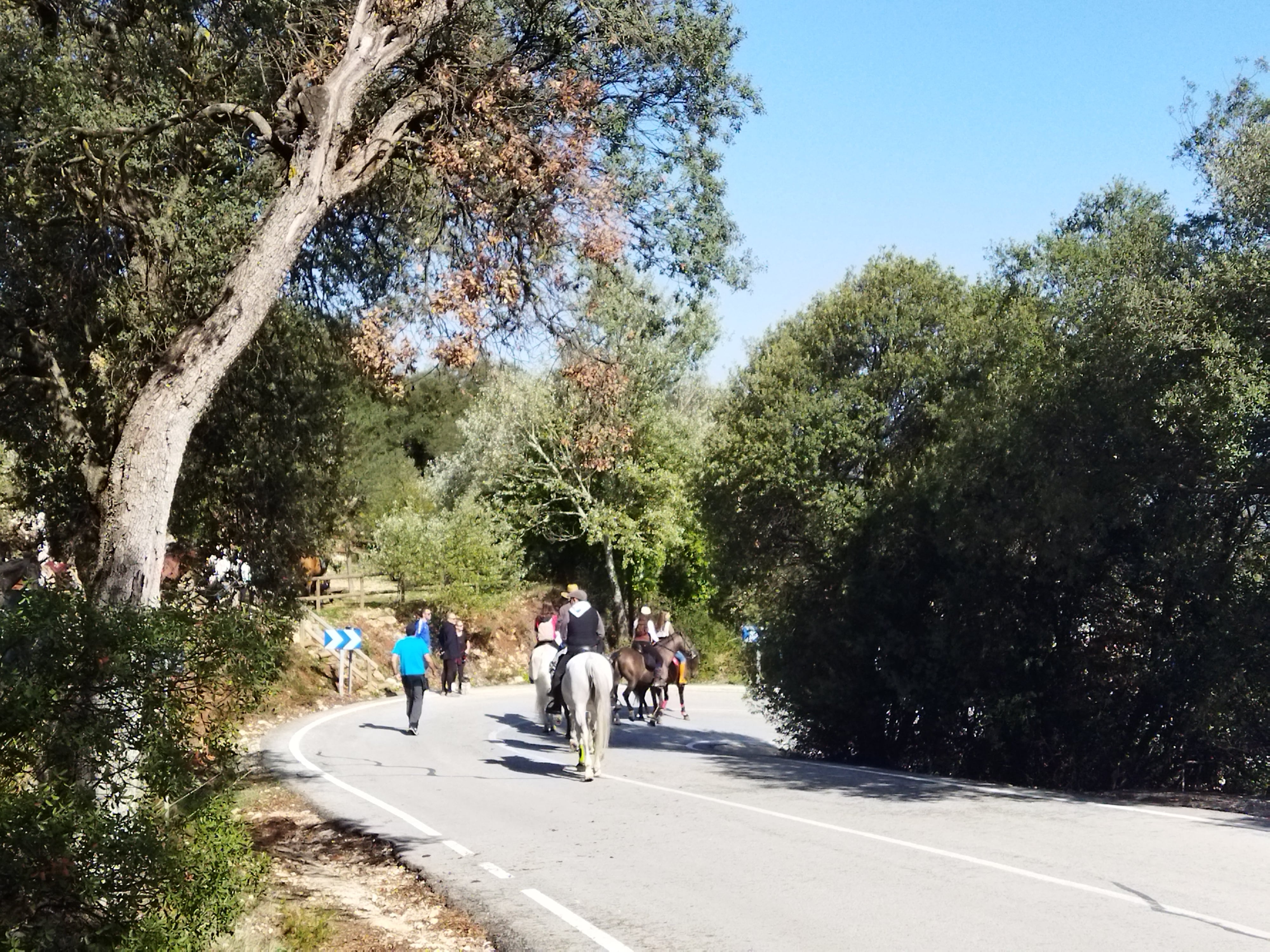 Peregrinos a caballo en la Font Roja.