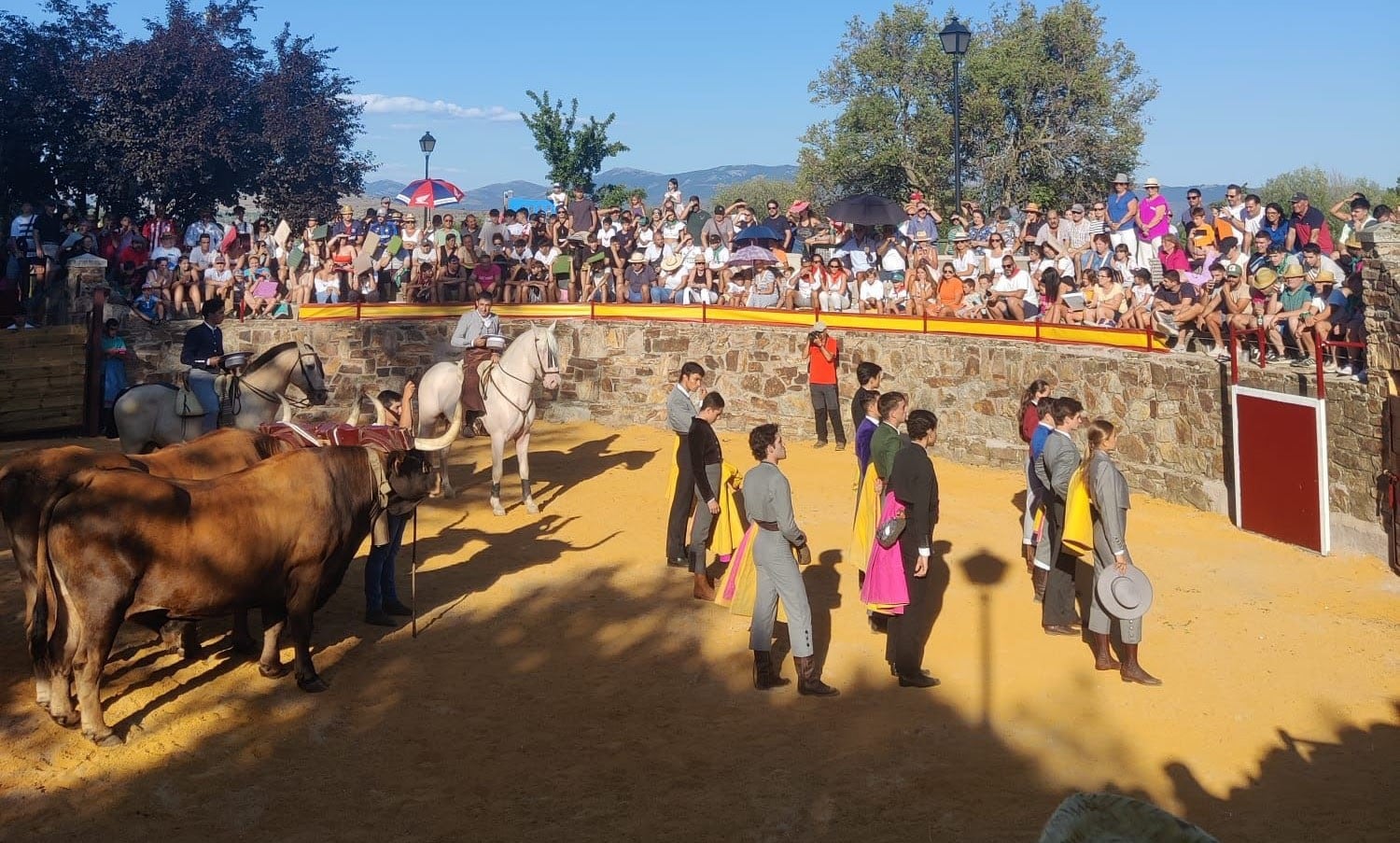 PACMA solicita la demolición de la Plaza de Toros de Villavieja del Lozoya