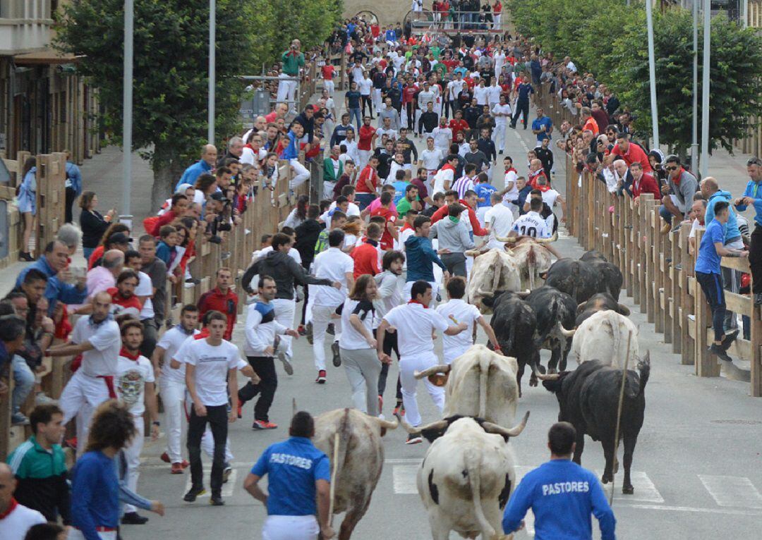 Quinto encierro de las fiestas de Tafalla 2019