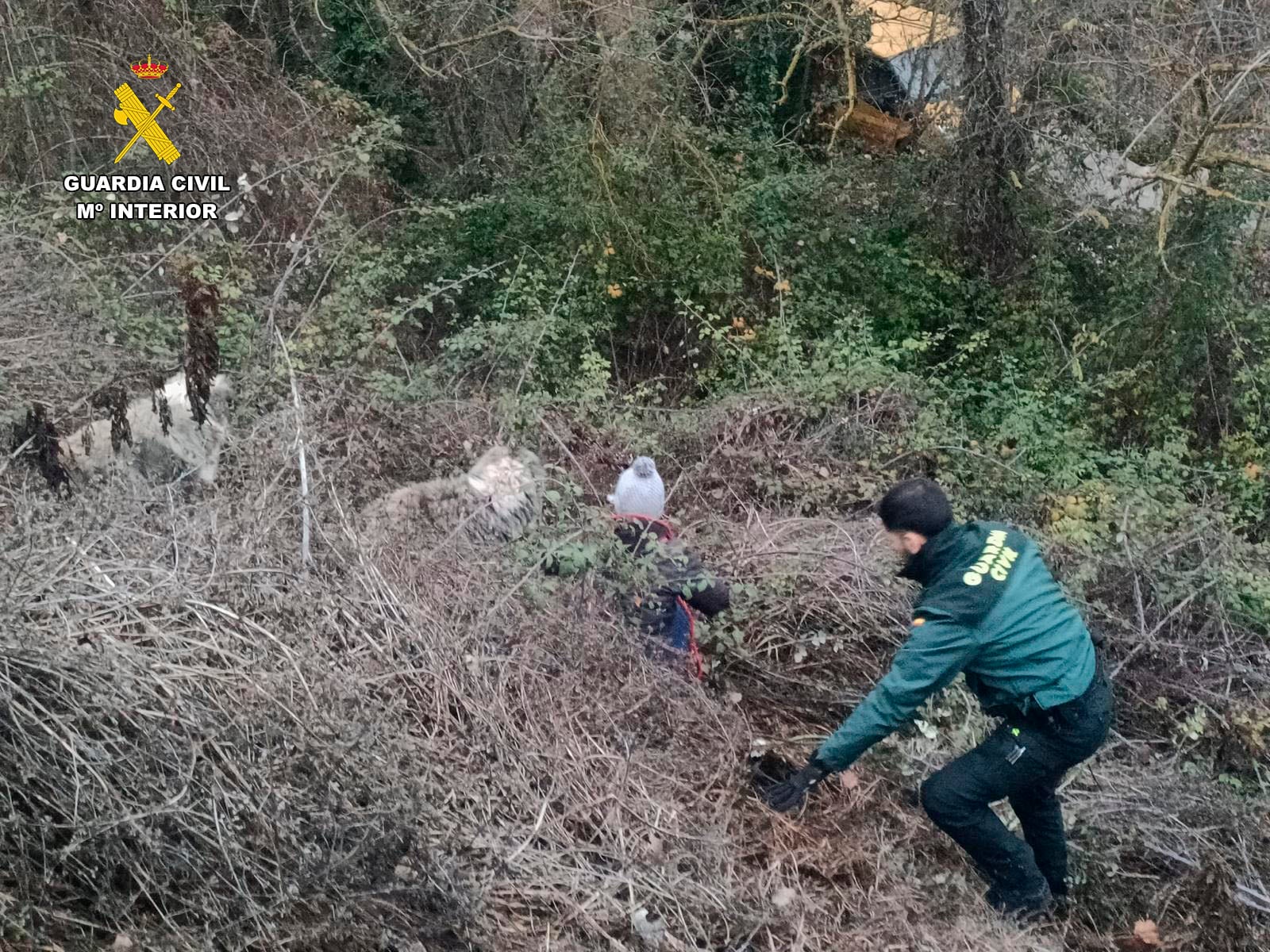 Guardia Civil y Bomberos del CEIS Rioja rescatan a tres perros caídos a un barranco en la N-232
