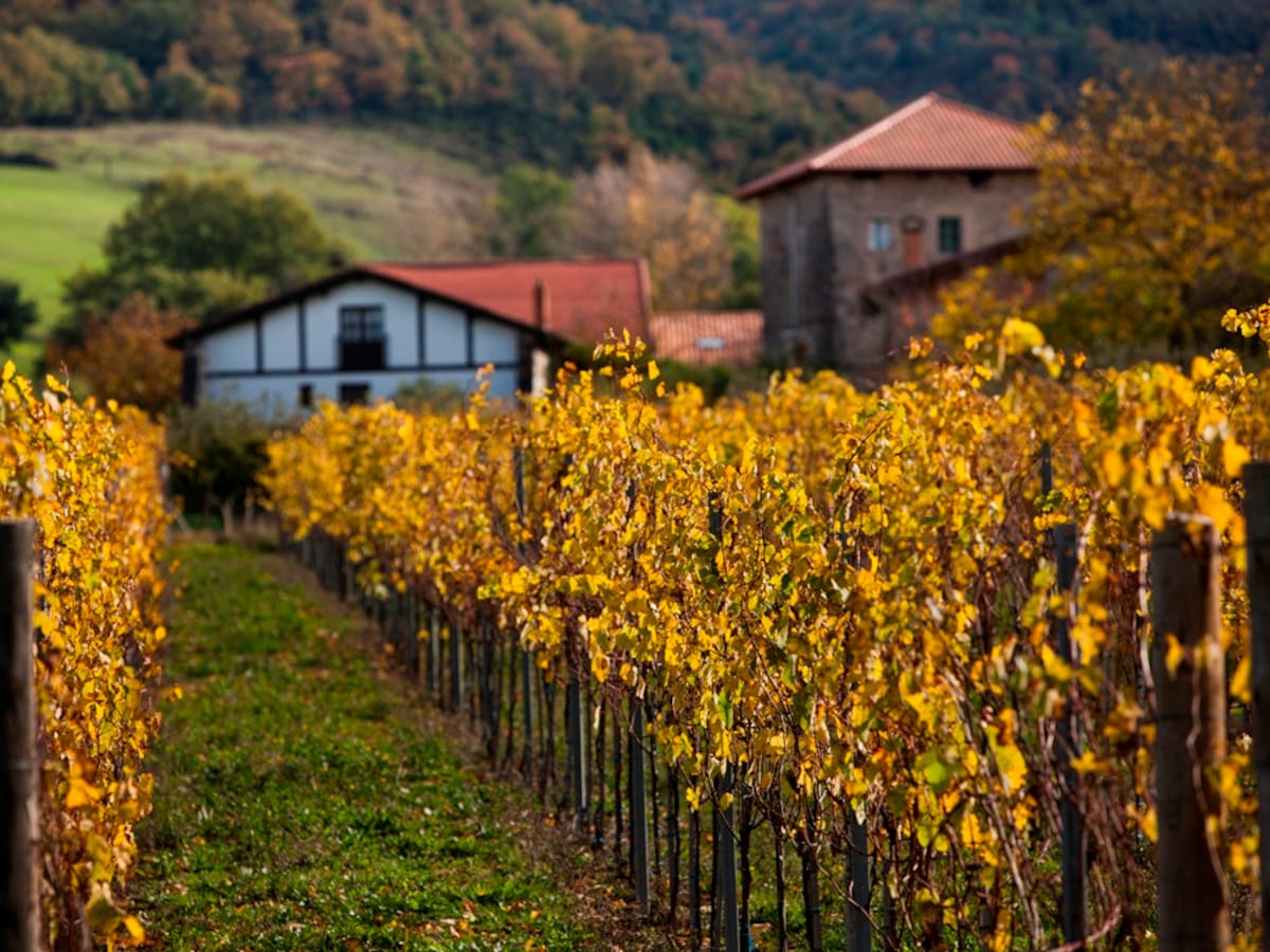 Aiaraldea se brinda al visitante: la Ruta del Txakoli descubre sabores, paisajes y tradición