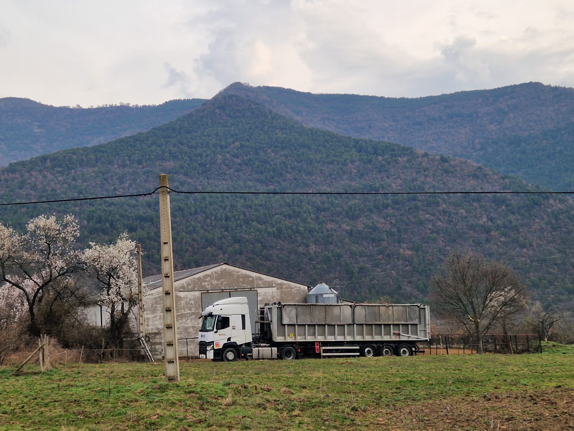 Explotación afectada en Borrastre