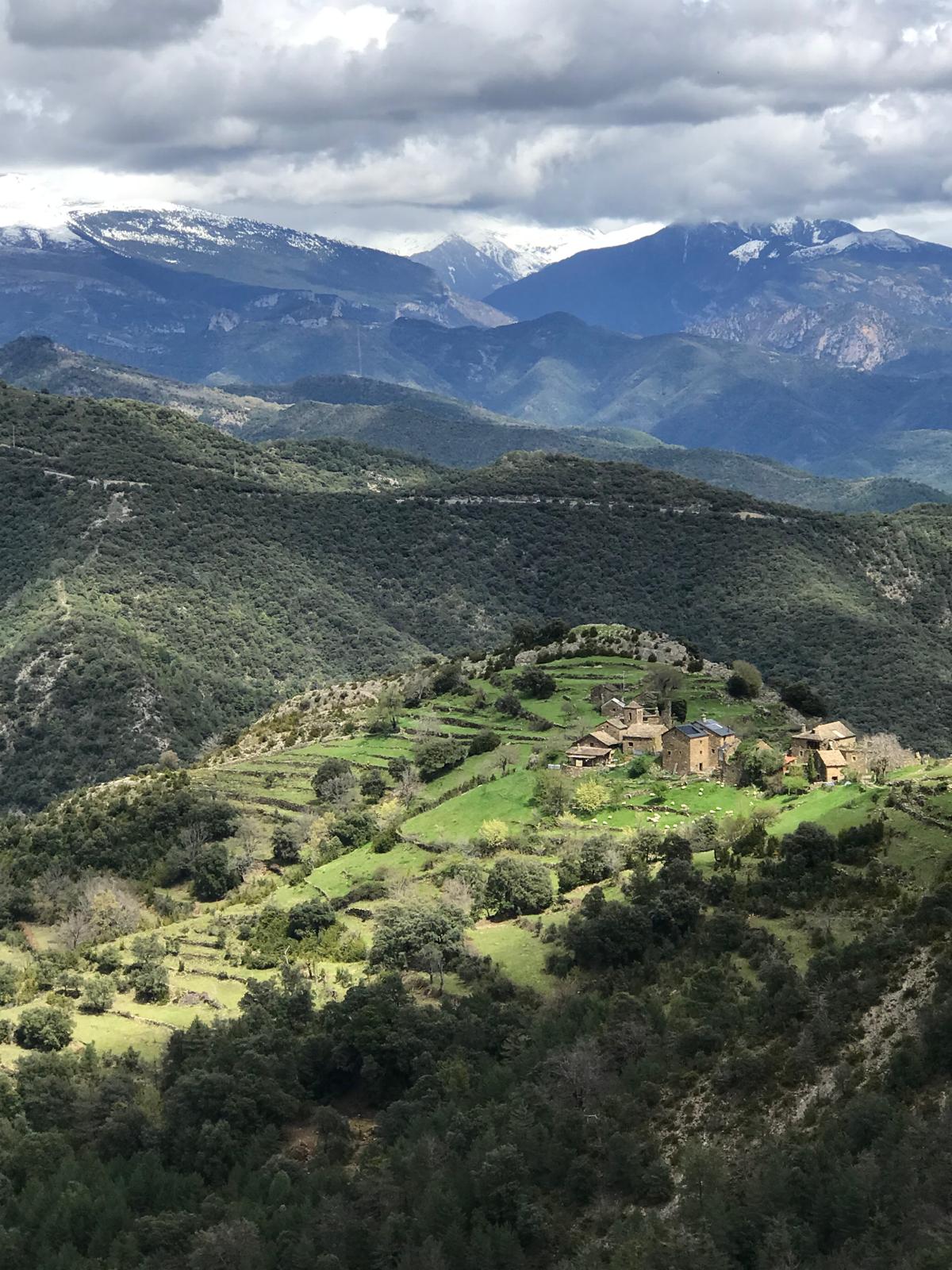 Morillo de San Pietro.