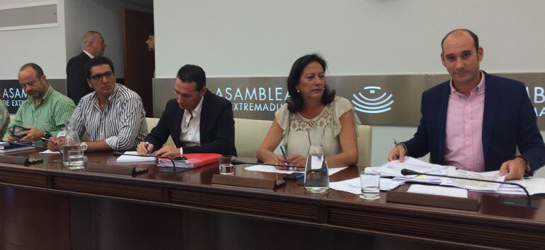 Sánchez Juliá (derecha), en la comisión 