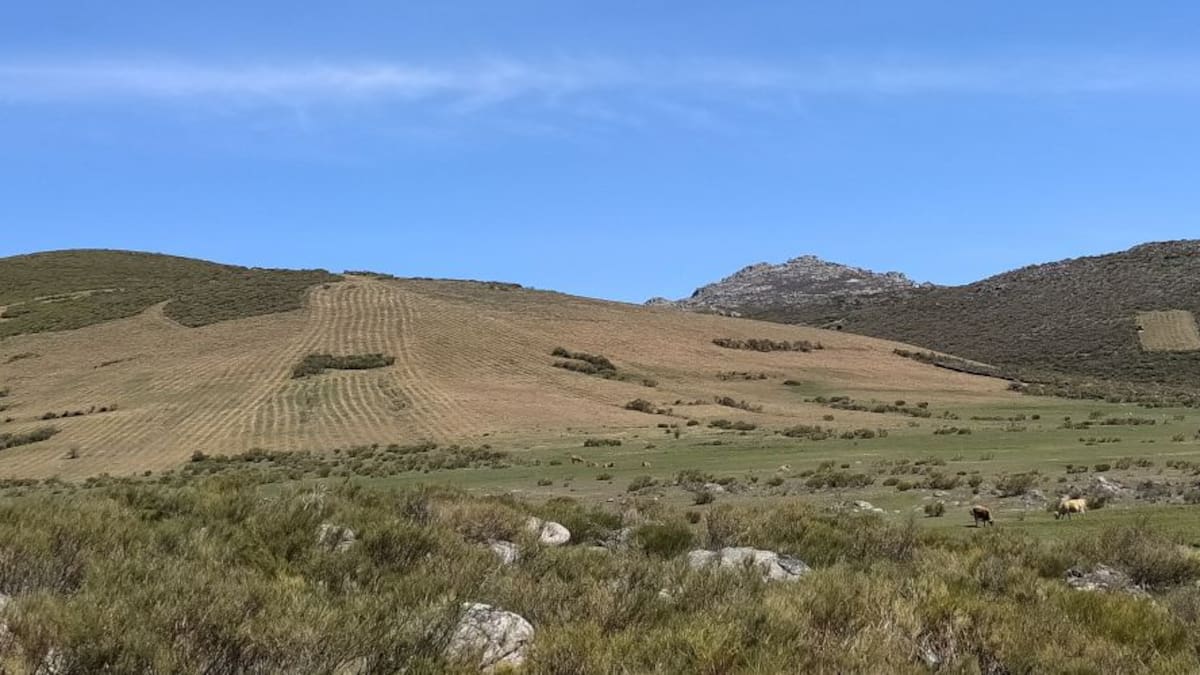 Ecologistas en Acción alerta de que se están realizando desbroces en época de cría de especies protegidas