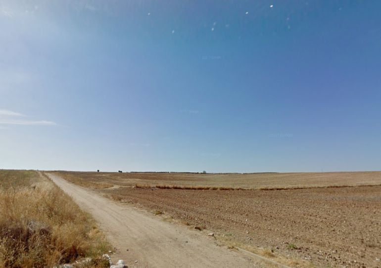 Camino situado entre Camarena y Chozas de Canales (Toledo)