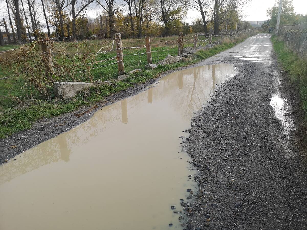 Autobuses, piscina, el arreglo de caminos y los perros sueltos