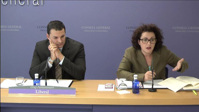 Els consellers liberals Judith Pallarés i Jordi Gallardo presentant les esmenes a la totalitat a les lleis dels cossos especials.