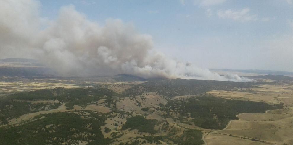 Incendio de Castejón de Tornos (Teruel)