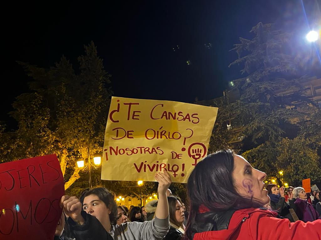 Manifestación 25N en Logroño