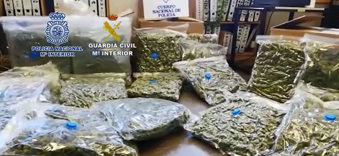 La fuerzas de seguridad han empleado un año en las investigaciones para desmatenlar la organización dedicada al tráfico de marihuana.