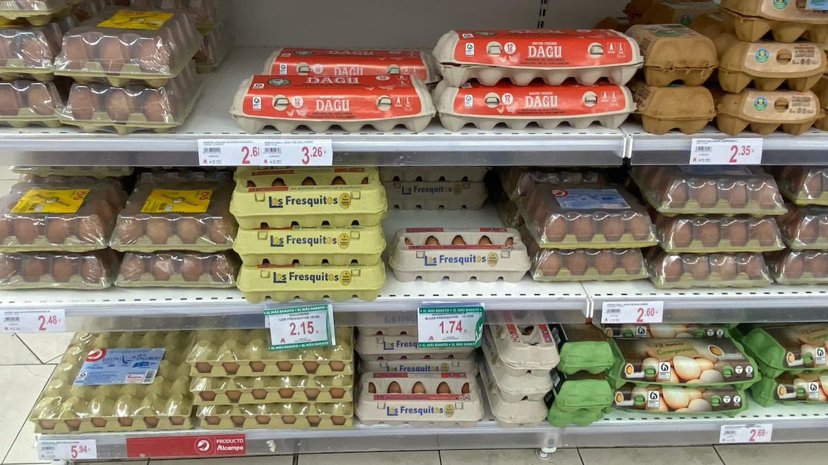 La cesta de la compra se encarece: aumenta el precio de los huevos y otros alimentos básicos