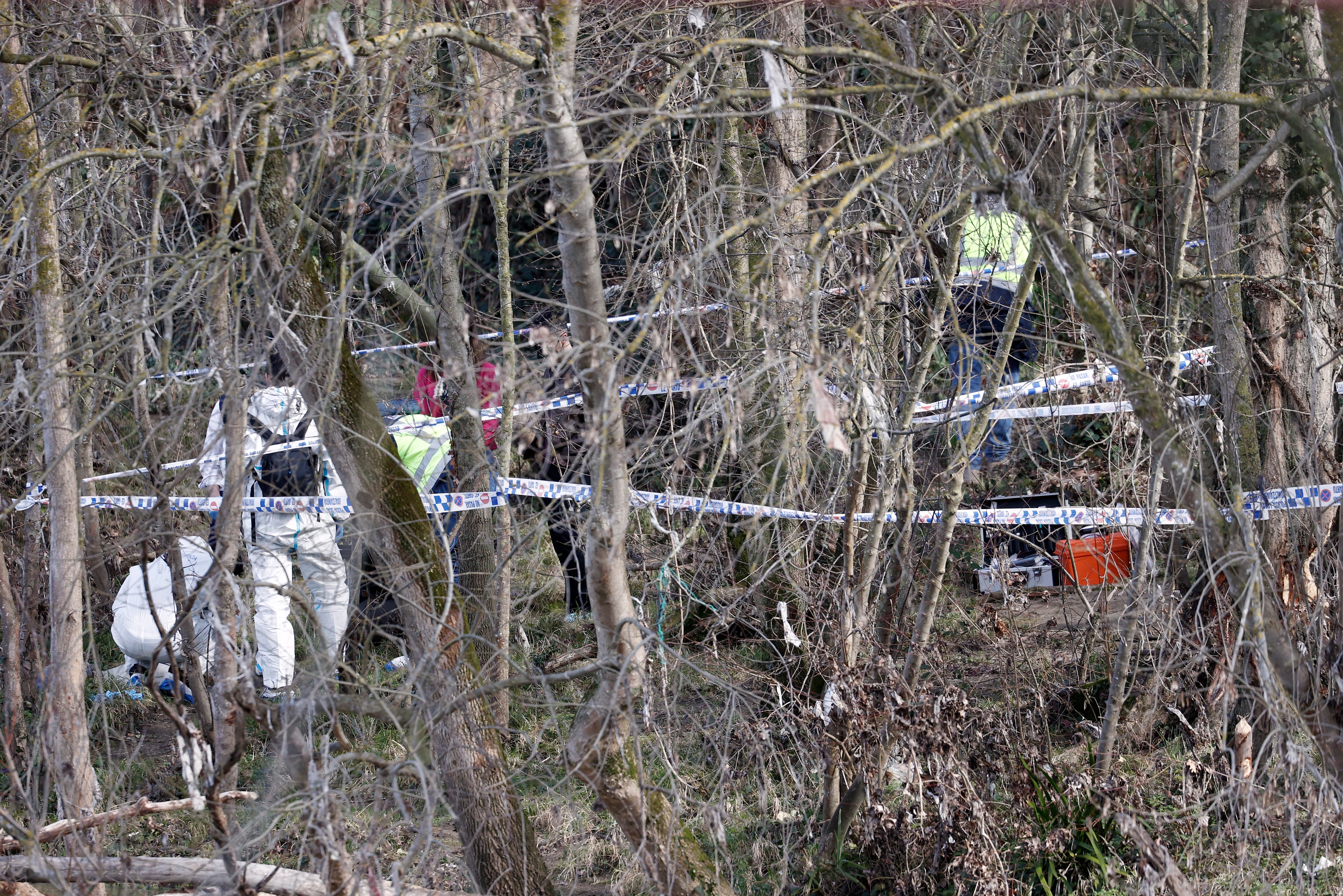 El cadáver de una mujer ha sido encontrado este viernes en el río Arga a su paso por la localidad navarra de Barañáin y trasladado al Instituto de Medicina Legal para su autopsia para determinar las causas de la muerte y la identidad, si bien todo parece indicar que se trata de la vecina de Pamplona Gabriela Reyes, desaparecida hace dos meses