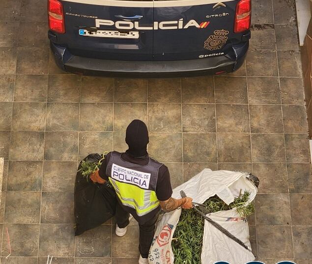 Momento de la intervención policial