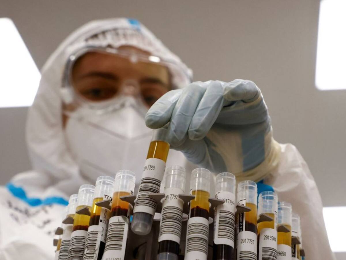 Un nuevo estudio sugiere que la inmunidad contra el coronavirus puede durar años