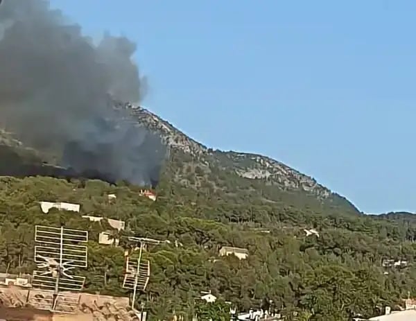 Imágenes del fuego visto desde la localidad