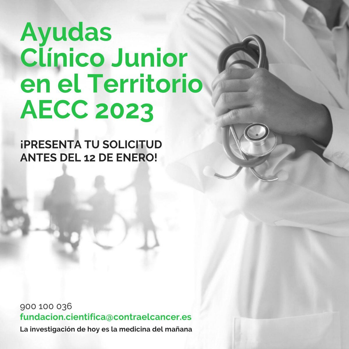 Ayudas investigación