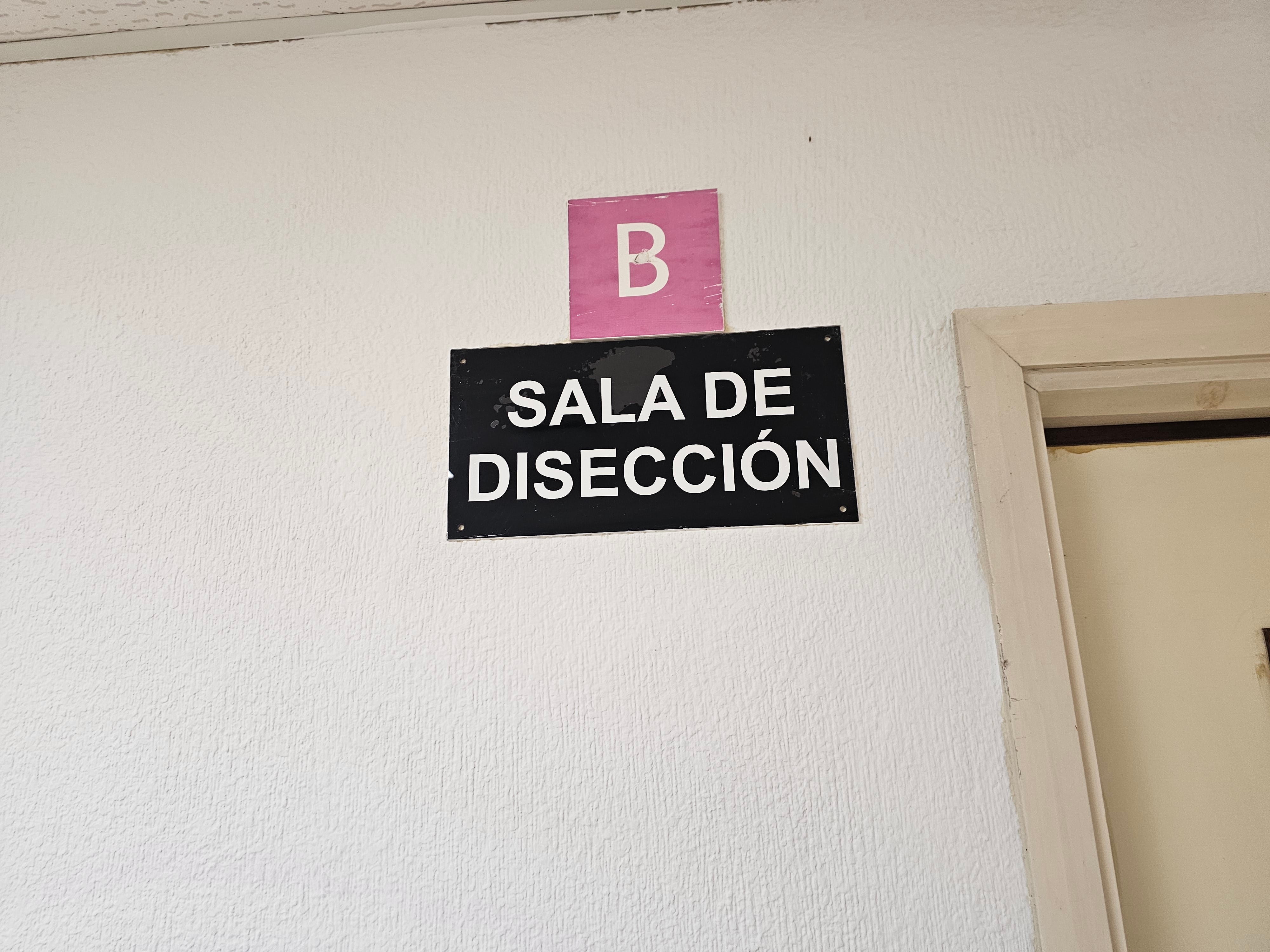 Acceso a la sala de disección de la Faculta de Medicina de la ULL