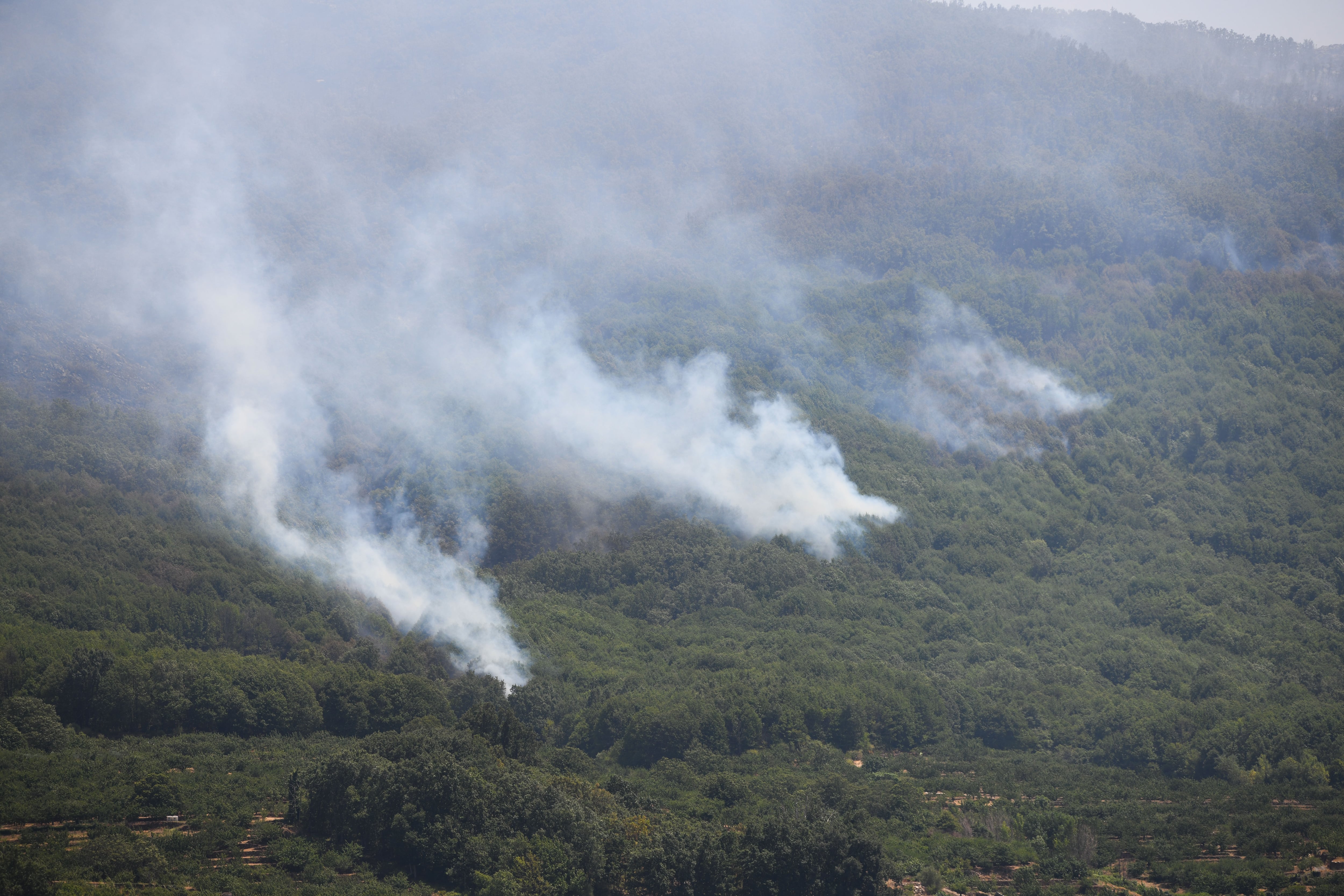 El sector de empresarios de la madera considera su labor como la del gran aliado de las administraciones en la lucha contra el fuego . EFE / Esteban Martinena Guerrero.