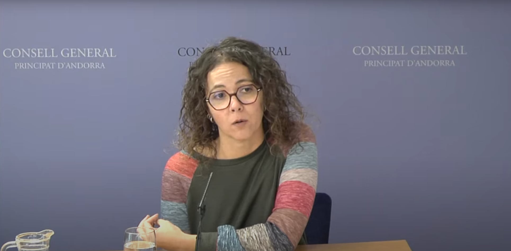La consellera general socialdemòcrata, Judit Salazar, durant la roda de premsa de presentació de la proposició de llei del Raonador del ciutadà.