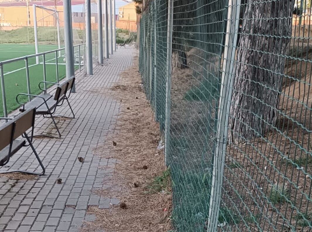 IU-Podemos denuncia el estado de las instalaciones deportivas de San Telmo en Palencia