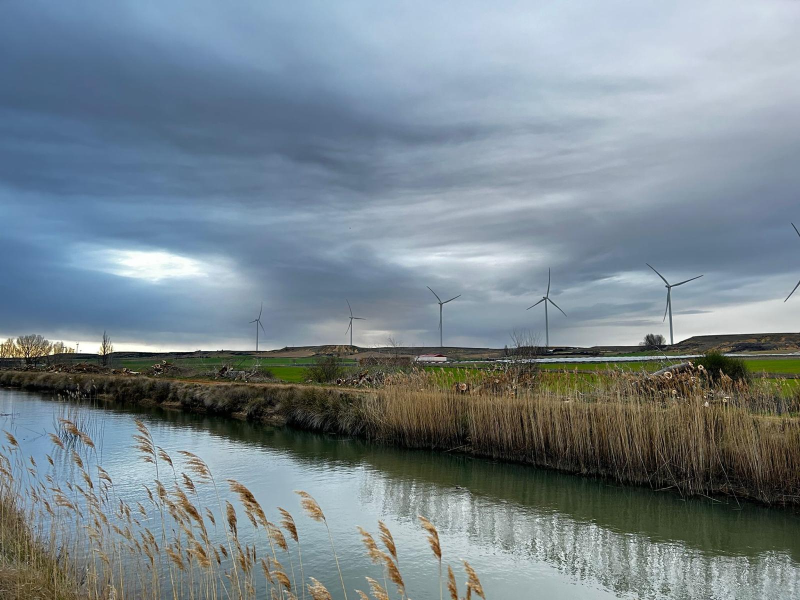 La CHD asegura que ya paralizó la poda de árboles en el Canal de Castilla el pasado 1 de marzo