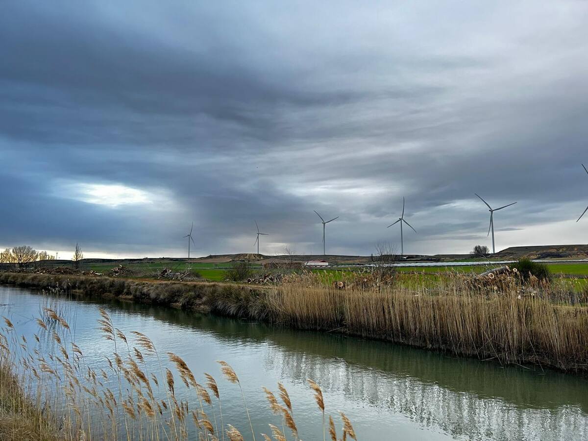 La CHD asegura que ya paralizó la poda de árboles en el Canal de Castilla el pasado 1 de marzo