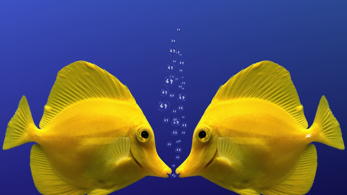 Psicología en Hoy por Hoy Villena