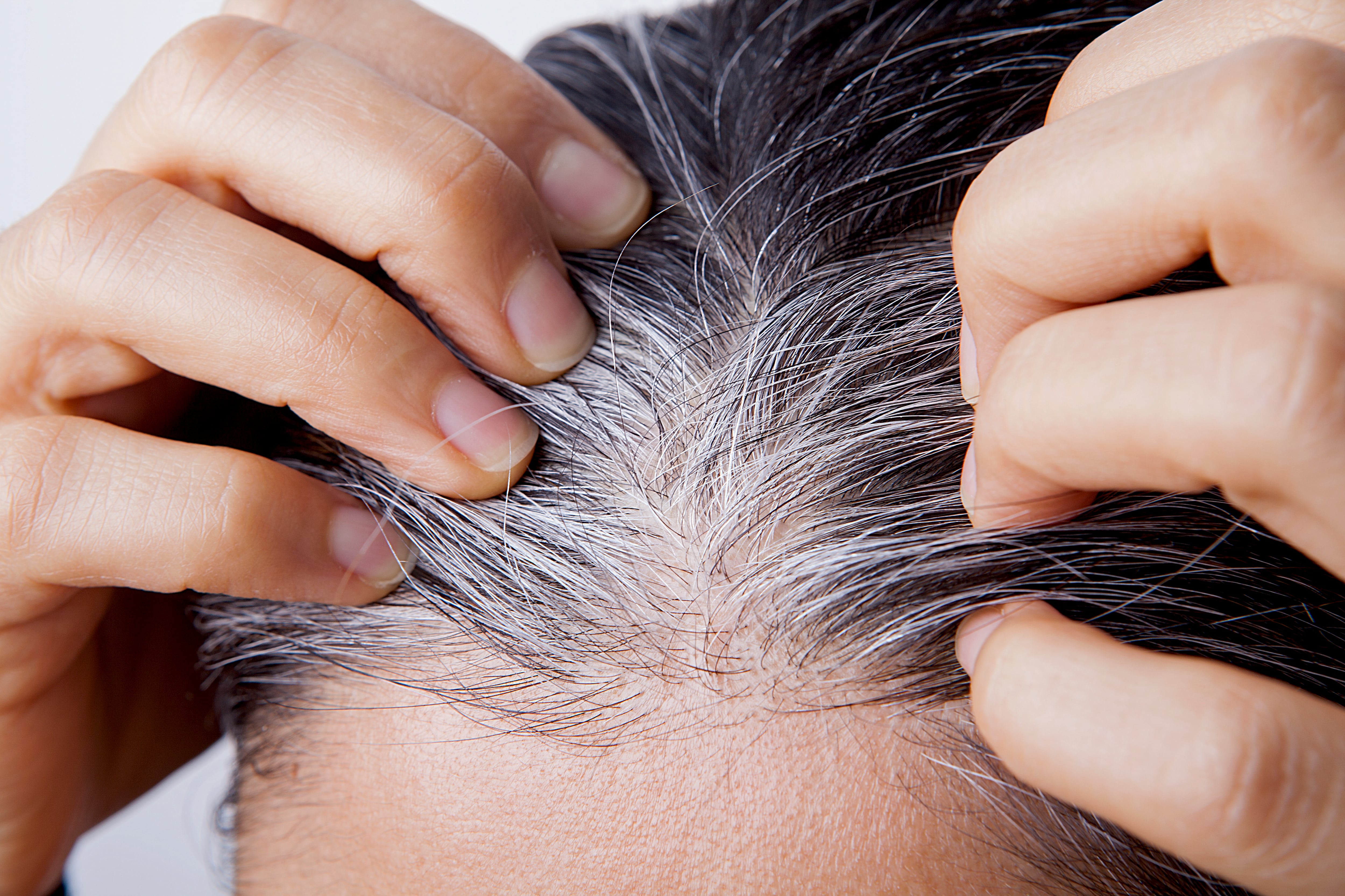 Una mujer comprueba sus canas.