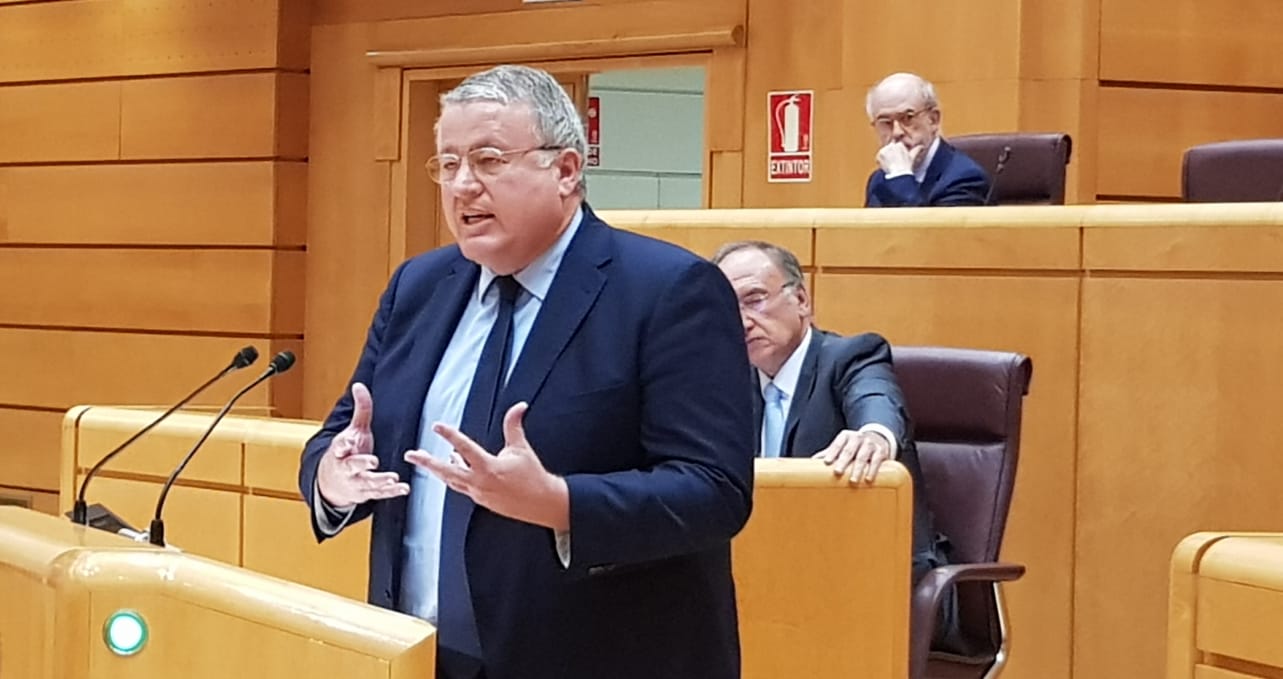 Francisco Bernabé, senador por el PP
